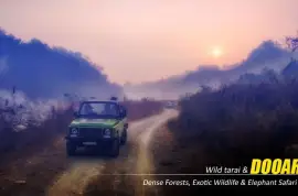 Dooars Package Tour from Kolkata – A Perfect Blend of Forest, Wildlife, and