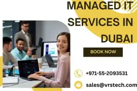 Professional IT Services Available in UAE