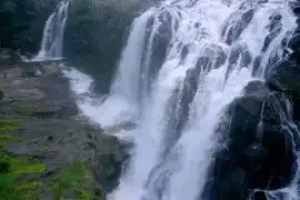 Kerala Tour Packages