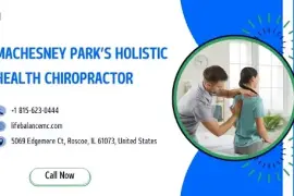 Discover Expert Holistic Health Chiropractor Care for Total Wellness