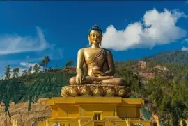 How to Book the Perfect Bhutan Package Tour from Delhi with NatureWings Hol