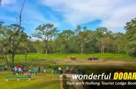 Why Choose NatureWings for Your Dooars Tour Package from Siliguri