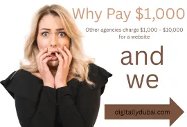 Web Design Agency