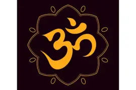 +917508984699 Ex~lover relationship problem solution specialist astrologer 
