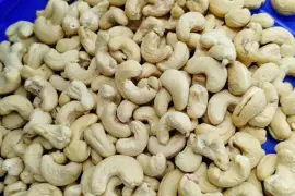 TOP MOST AHMEDABAD SURAT RAJKOT KAJU WHOLESALER-READY FOR CASHEW DISPATCH