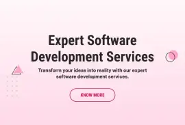 Expert Software Development Services