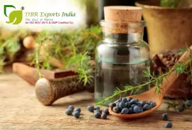 The Benefits of Juniper Berry Essential Oil for Skin