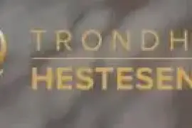 Trondheim Hestesenter