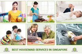 Looking For Ex-Singapore Maid in Singapore