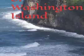 The Secret of Washington Island novel