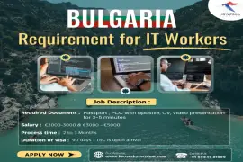 Bulgaria Requirement For IT worker