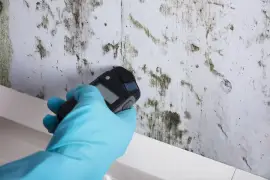 Mold Inspection in Dallas