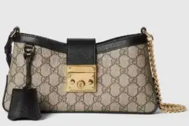 Gucci Padlock Bag: A New Controversial Icon of Luxury