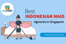 Best Indonesian Maid Agencies in Singapore