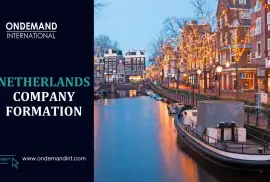 Netherlands Company formation 