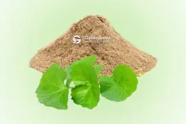 Bulk Gotu Kola Extract Powder 10:1 Supplier - Green Jeeva