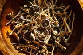 Buy Magic Mushrooms Online – Premium Quality & Fast Delivery at Mushroo