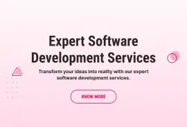 Expert Software Development Services