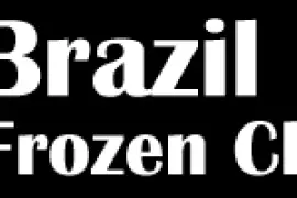 Brazil Frozen Chicken Exporters 