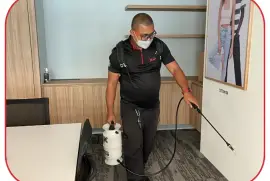 Top-Rated Pest Management – Pest Control in Jurong & Ang Mo Kio by ORIG