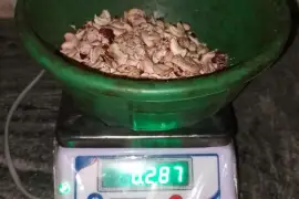 BIKANER UDAIPUR AJMER RAW CASHEW NUTS WHOLESALER NEAR ME 7550251115