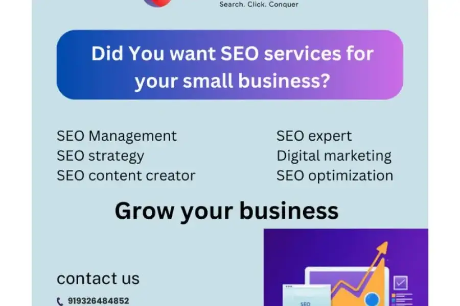How the Top 10 SEO Companies in Belapur Can Grow Your Business