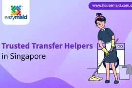 Trusted Transfer Helpers in Singapore