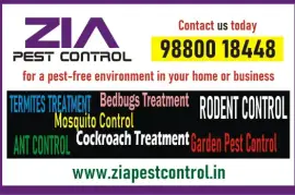 Specialist in Pest control | Cockroach service 30% off  | 1917 | Bangalore