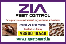 Cockroach Pest Control | Upto 50% Off | office and residence | 3034