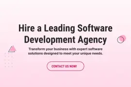 Hire a Leading Software Development Agency