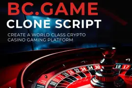 Accelerate Your Casino Startup with Our Bc.game Clone Solution