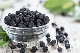 Prodej Plody Arónie (Aronia Berries) ve velkém od výrobce za nejlepší ceny