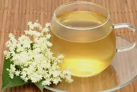 Prodej Květy Cerného Bezu (Elderflowers) ve velkém od výrobce za nejlepší