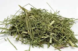 Prodej Přeslička Tráva (Horsetail Herb) ve velkém od výrobce za nejlepší