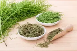 Prodej Přeslička Tráva (Horsetail Herb) ve velkém od výrobce za nejlepší