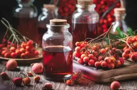 Prodej Plody Hlohu (Hawthorn Fruits) ve velkém od výrobce za nejlepší ceny