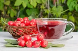 Prodej Plody Hlohu (Hawthorn Fruits) ve velkém od výrobce za nejlepší ceny