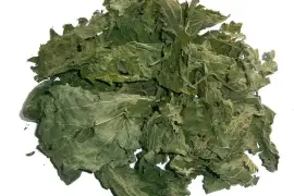 Prodej List Kopřivy (Nettle Leaf) ve velkém od výrobce za nejlepší ceny