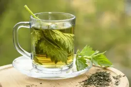 Prodej List Kopřivy (Nettle Leaf) ve velkém od výrobce za nejlepší ceny