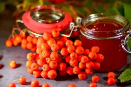 Prodej Jeřabiny (Rowan Berries) ve velkém od výrobce za nejlepší ceny