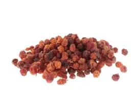 Prodej Jeřabiny (Rowan Berries) ve velkém od výrobce za nejlepší ceny