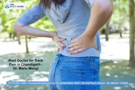 Back Pain Doctor in Chandigarh - Dr. Manu Mengi