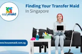 Finding Your Transfer Maid in Singapore