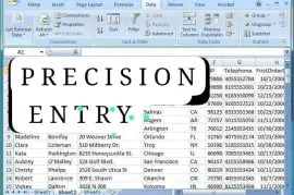 PRECISION  ENTRY