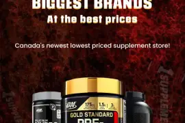 Shop Best Optimum Nutrition Creatine Supplements