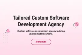 Tailored Custom Software Development Agency