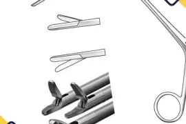 Unlocking the Power of Precision: Importance Of Orthopedic Instruments