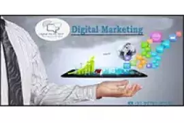 Online marketing Consultant in Punjab