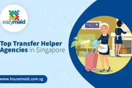 Top Transfer Helper Agencies in Singapore