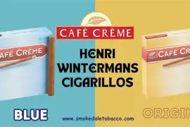 Henri Wintermans Cigars Online – Discover Timeless Tobacco Blends